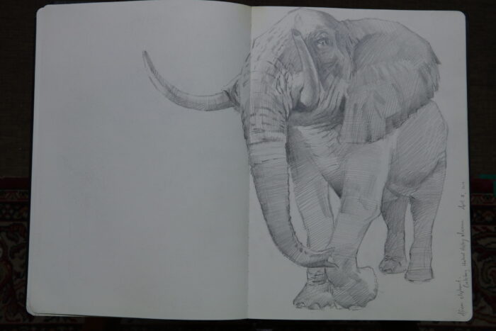 Wildlife and Landscape — Sketching to Studio Painting - Image 7